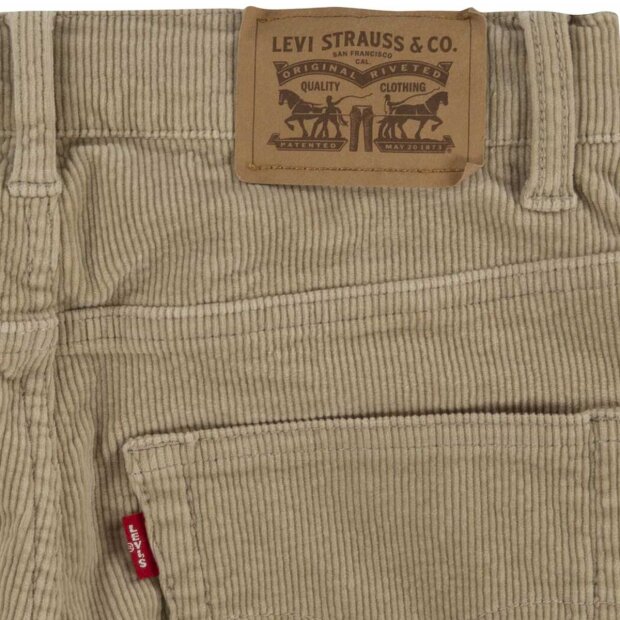 LEVIS - AUTHENTIC STRAIGHT FIT PANT | FIELDS OF RYE