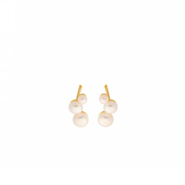 PERNILLE CORYDON - TREASURE ØRESTIKKER | FORGYLDT