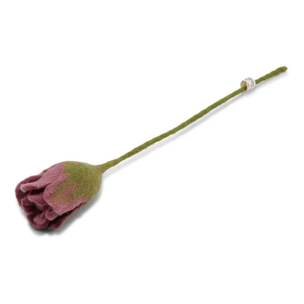 Billede af Tulipan | Lilla Fra En Gry Og Sif