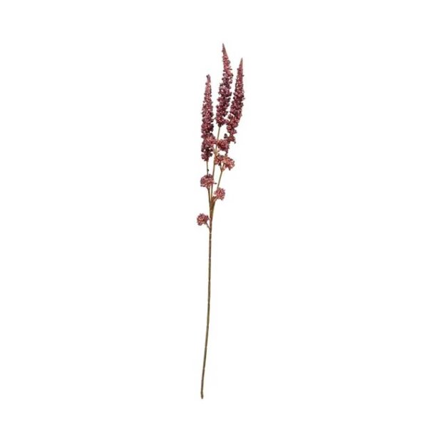 Billede af Kruset Skræppestilk 77 Cm - Bordeaux Fra Speedtsberg
