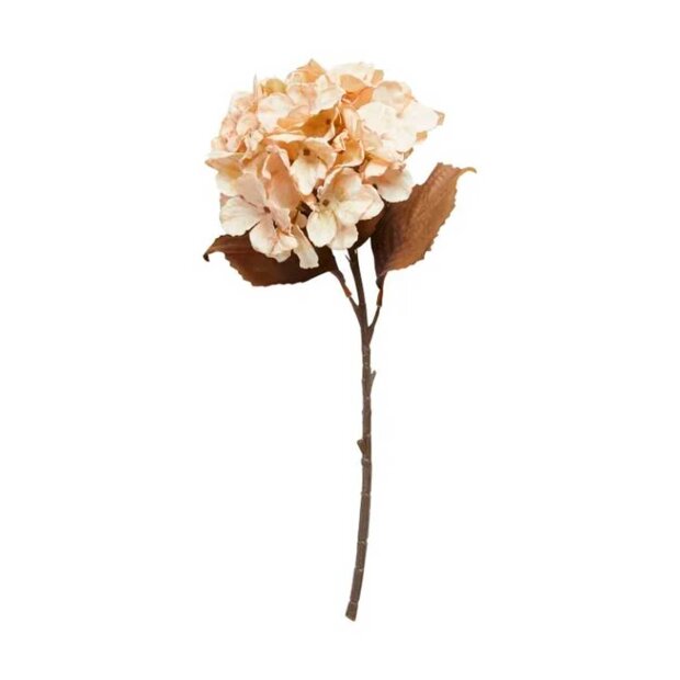 SPEEDTSBERG - HORTENSIASTILK 34 CM - BEIGE