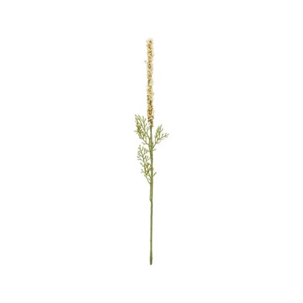 Billede af Ambrosia Stilk 37 Cm - Hvid/grøn Fra Speedtsberg