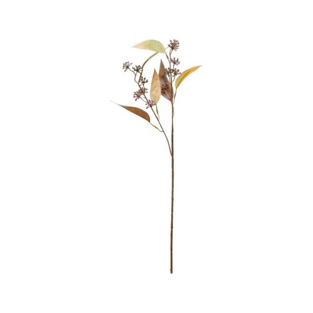 Billede af Eukalyptusstilk 64 Cm - Grøn/brun Fra Speedtsberg
