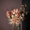 SPEEDTSBERG - GREN 90 CM - NATUR