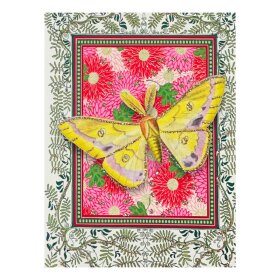 VANILLA FLY - GREETING CARD | INDIAN BUTTERFLY