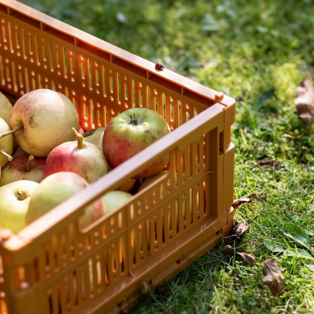 MADE CRATE - MADE CRATE MIDI 33X24X13 CM | MUSTARD