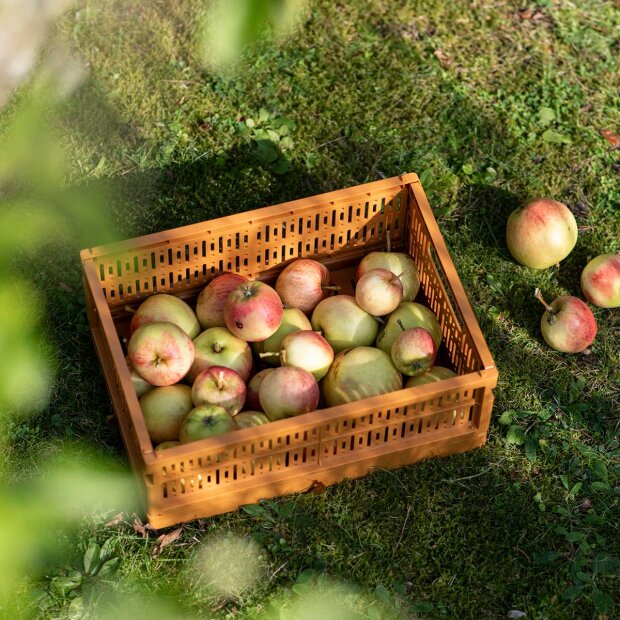 MADE CRATE - MADE CRATE MIDI 33X24X13 CM | MUSTARD