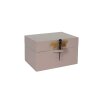 OI SOI OI - BOX W/DRAGONFLY BIG 14X18X12 CM | CASHMERE