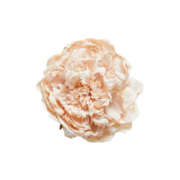 SPEEDTSBERG - PEONHOVED 15 CM | LIGHT ROSA