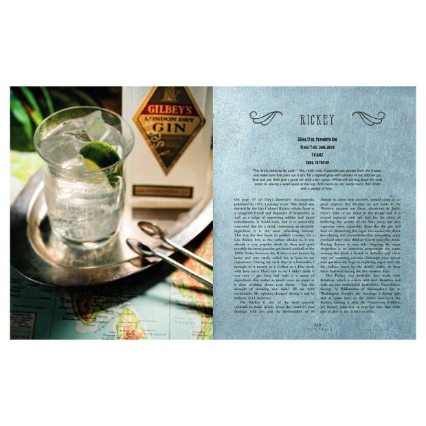 New Mags - THE CURIOUS BARTENDER - GIN