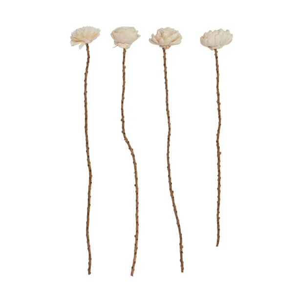 Billede af Blomsterstilk 30-40 Cm - 1 Stk. | Hvid Fra Speedtsberg