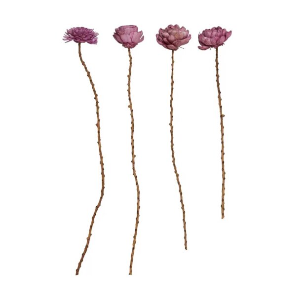 Billede af Blomsterstilk 70 Cm 1 Stk. | Lilla Fra Speedtsberg