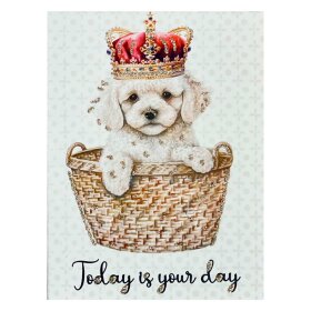 VANILLA FLY - GREETING CARD | TODAY IS YOUR DAY