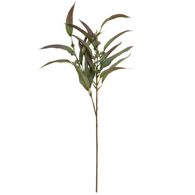 SPEEDTSBERG - EUKALYPTUS STILK 70 CM SPEEDTSBERG - EUKALYPTUS STILK 70 CM