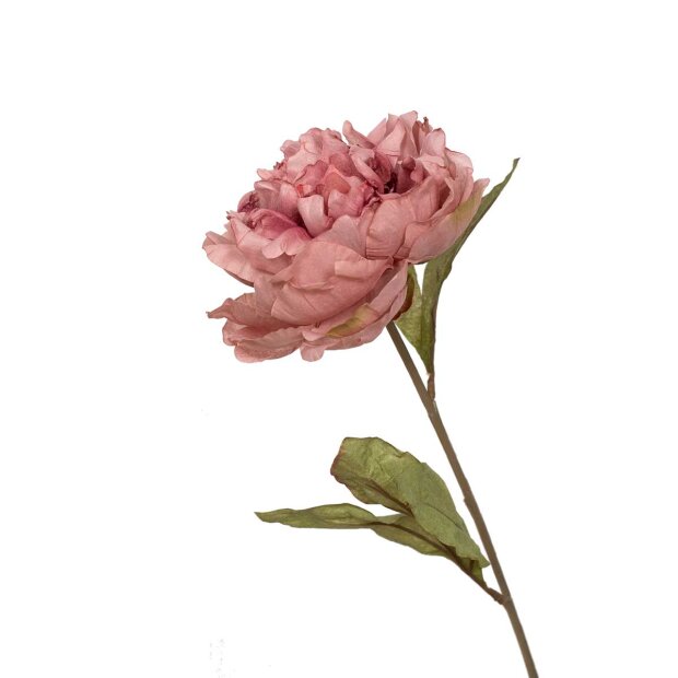 SPECKTRUM - KUNSTIGE BLOMSTER - PEONY PINK 62 CM SPECKTRUM - KUNSTIGE BLOMSTER - PEONY PINK 62 CM