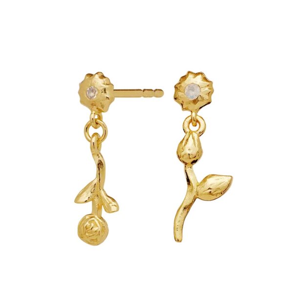 MAANESTEN - AMARIA ØRERINGE | FORGYLDT